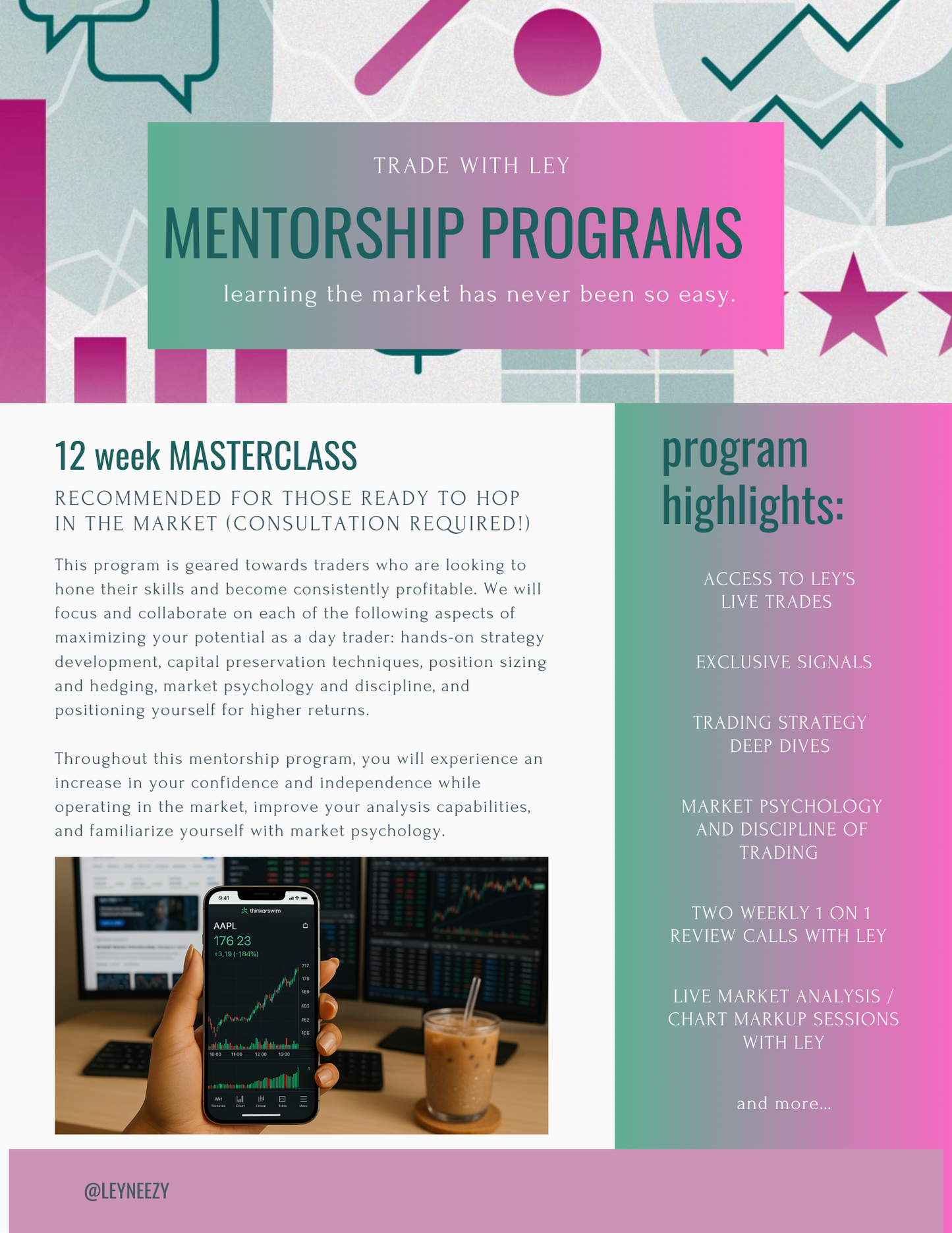 12-week MASTERCLASS (consultation required)